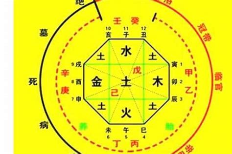 八字五行比例